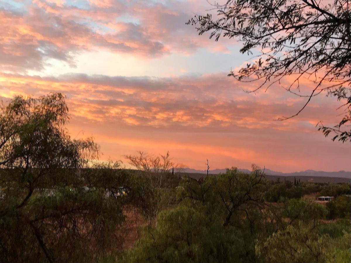 Riverside Guest Lodge Oudtshoorn Buitenkant foto