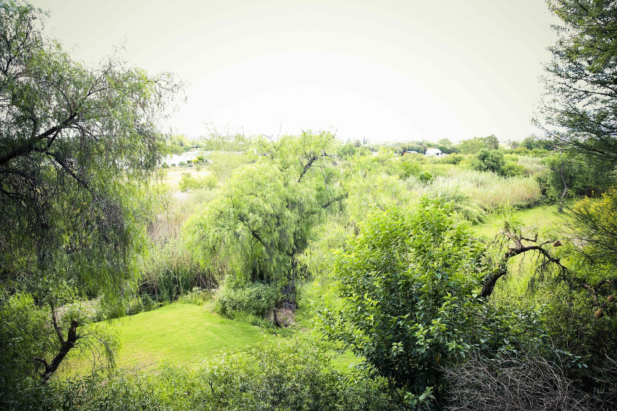 Riverside Guest Lodge Oudtshoorn Buitenkant foto